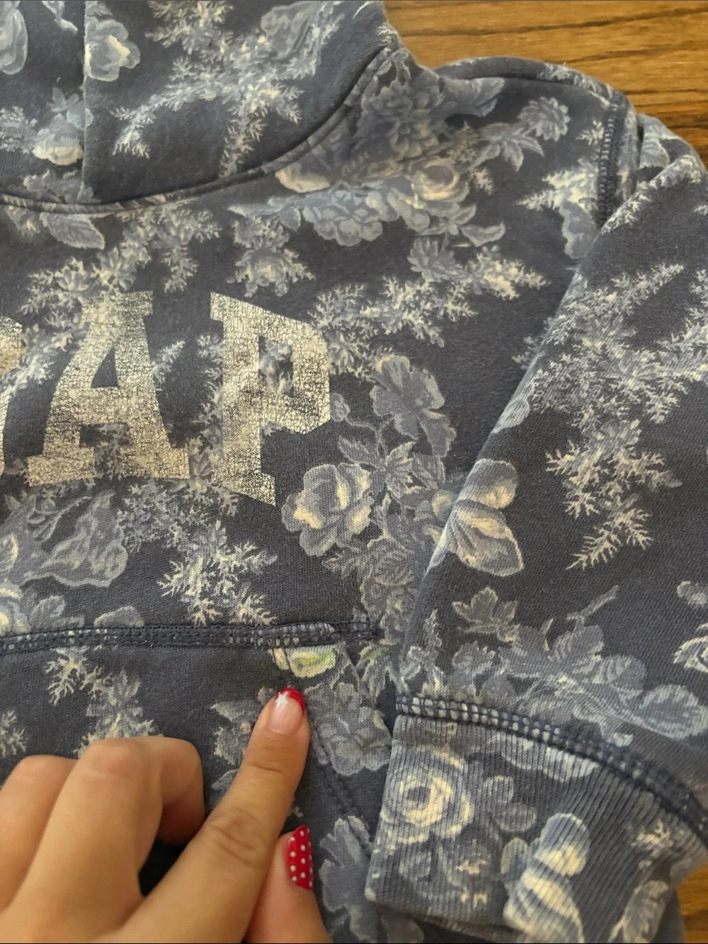 Kids Gap × LoveShackFancy Sz 3T Toddler Blue Floral Logo Hoodie read descriptio